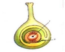 دریافت سوال 33