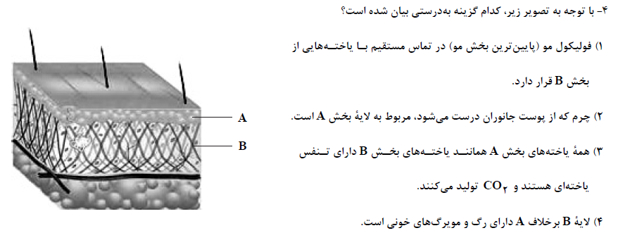 دریافت سوال 4