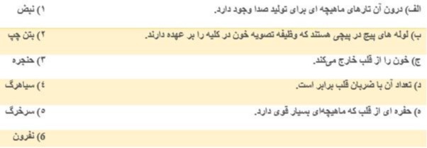 دریافت سوال 13