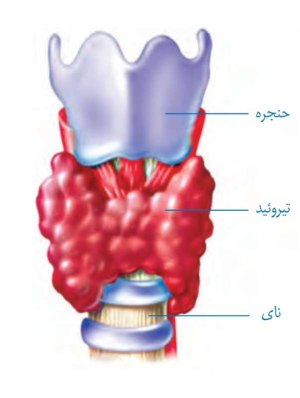 دریافت سوال 6