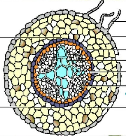 دریافت سوال 70