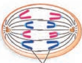 دریافت سوال 6