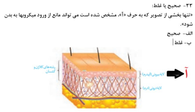 دریافت سوال 11