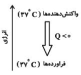 دریافت سوال 3