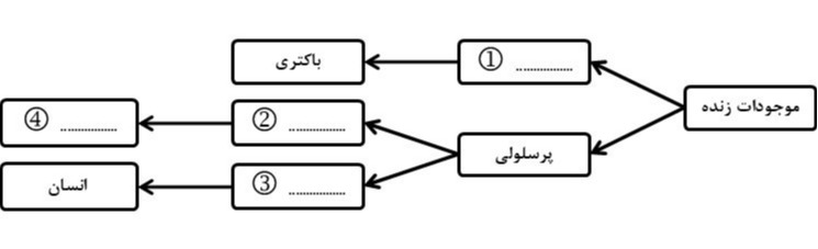 دریافت سوال 17