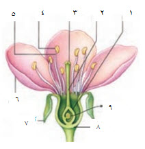 دریافت سوال 25