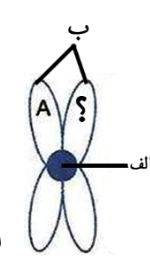 دریافت سوال 4