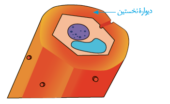 دریافت سوال 5