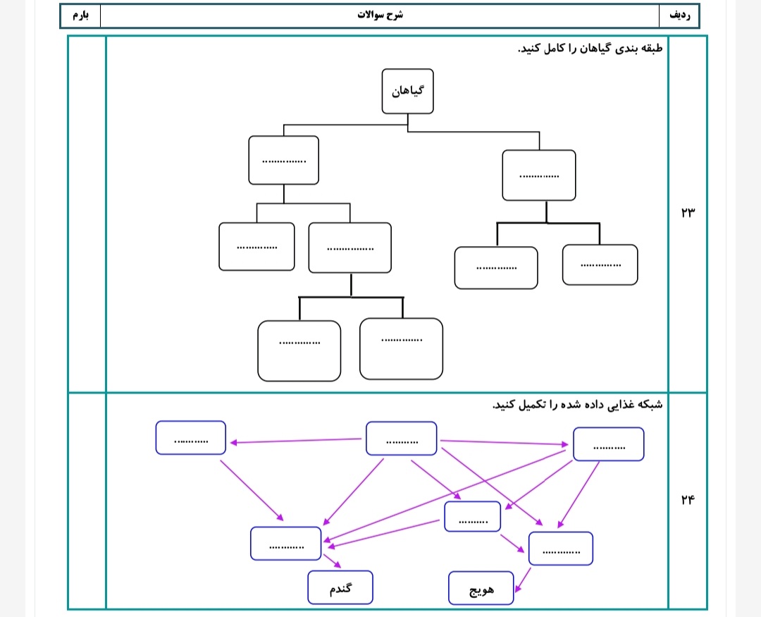 دریافت سوال 3