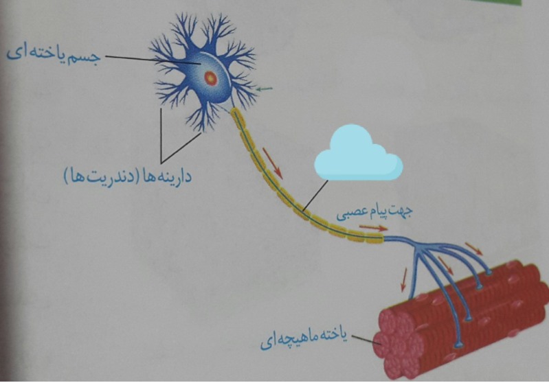 دریافت سوال 20