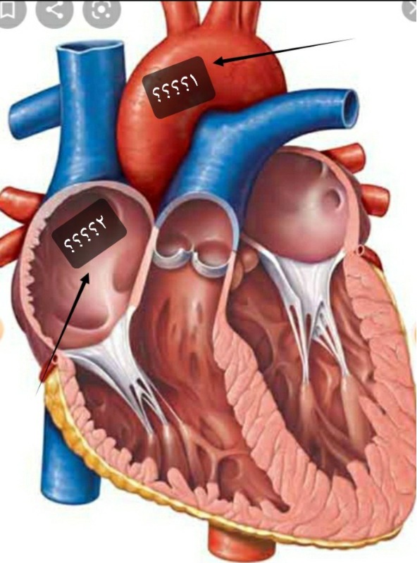 دریافت سوال 26