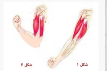 دریافت سوال 8