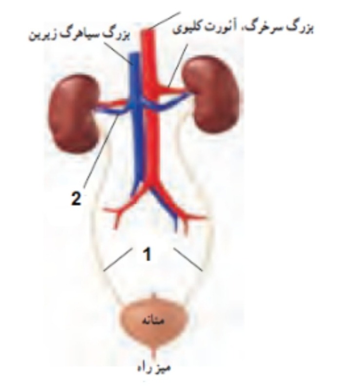 دریافت سوال 2