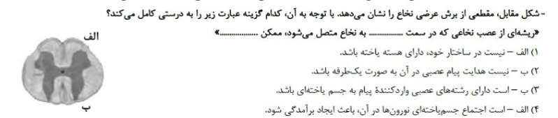 دریافت سوال 1