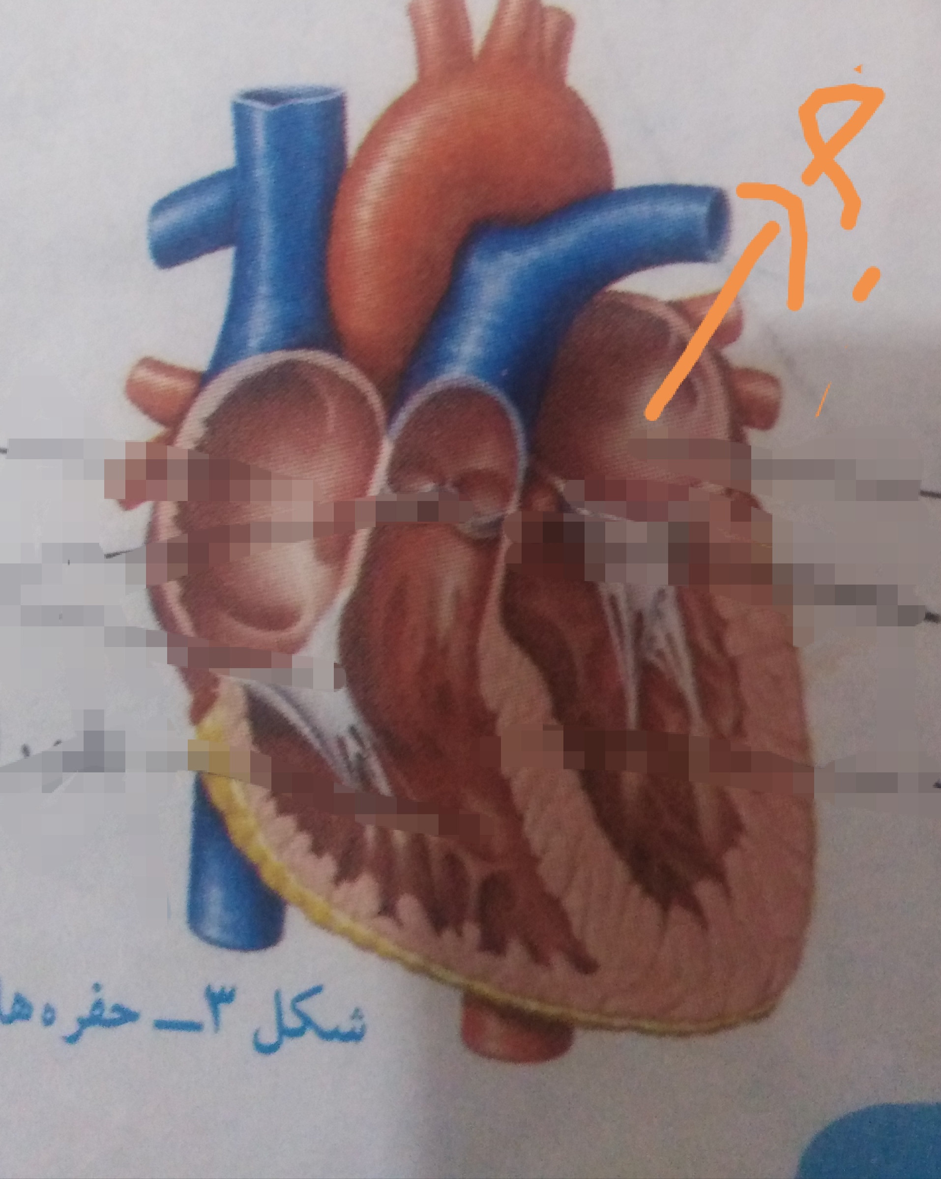 دریافت سوال 12