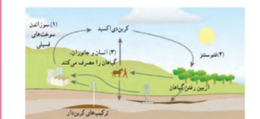 دریافت سوال 10