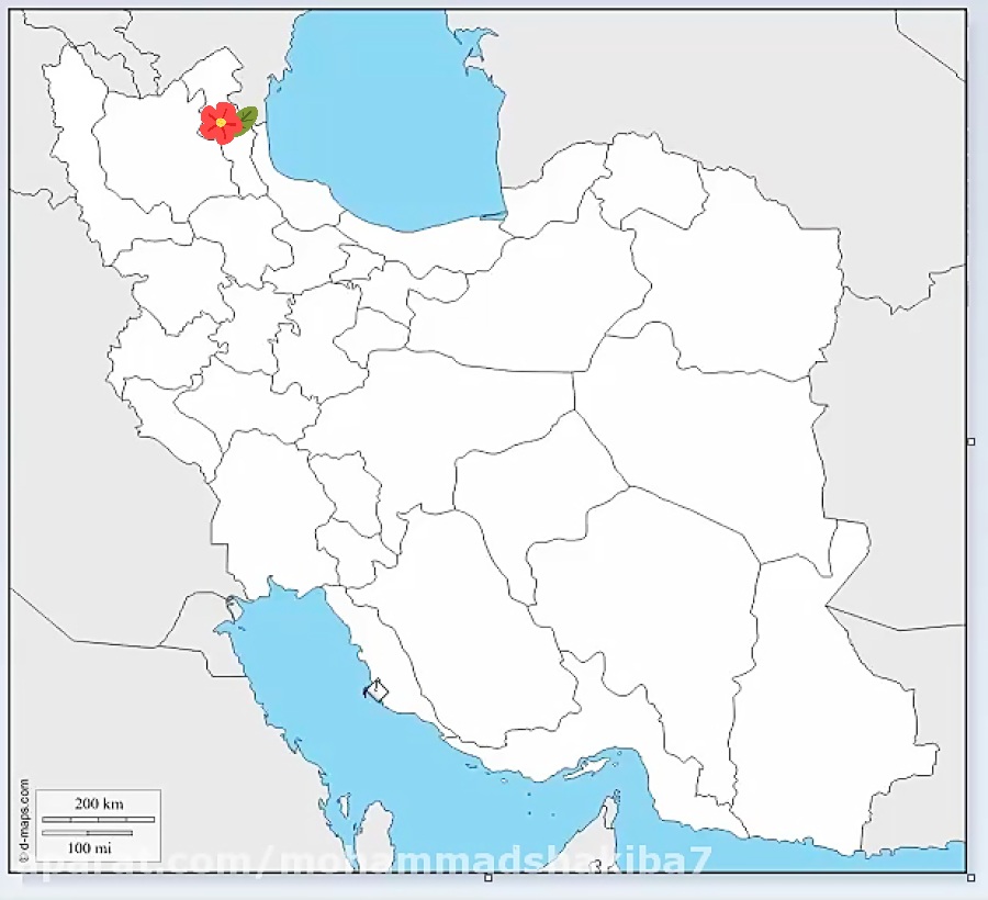 دریافت سوال 8