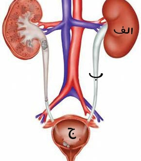 دریافت سوال 26