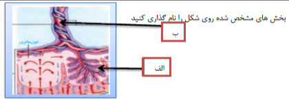 دریافت سوال 10