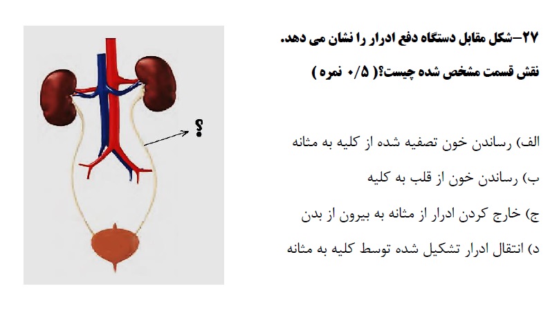 دریافت سوال 27