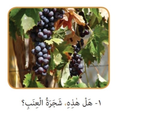 دریافت سوال 20