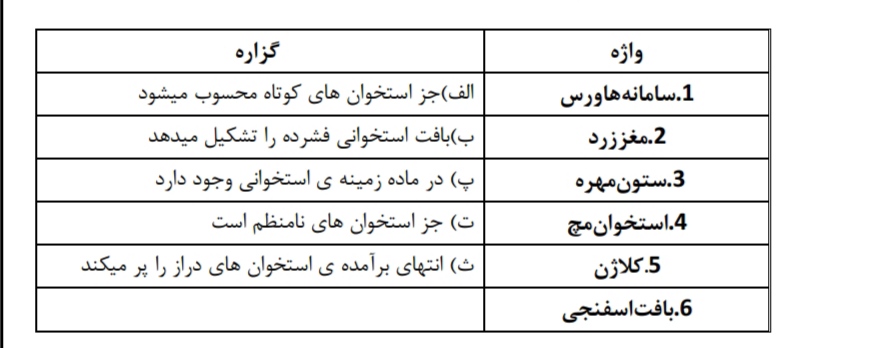 دریافت سوال 11