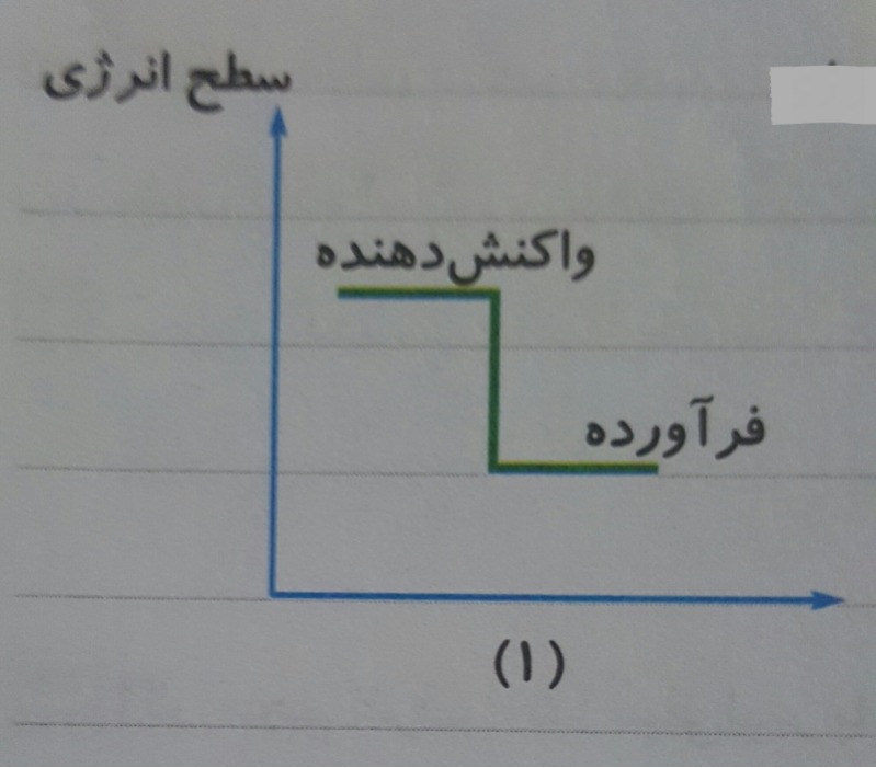 دریافت سوال 5