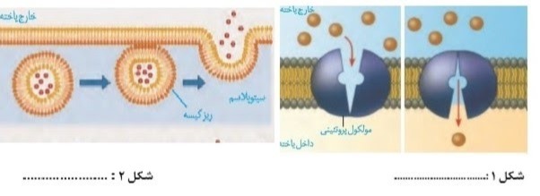 دریافت سوال 16