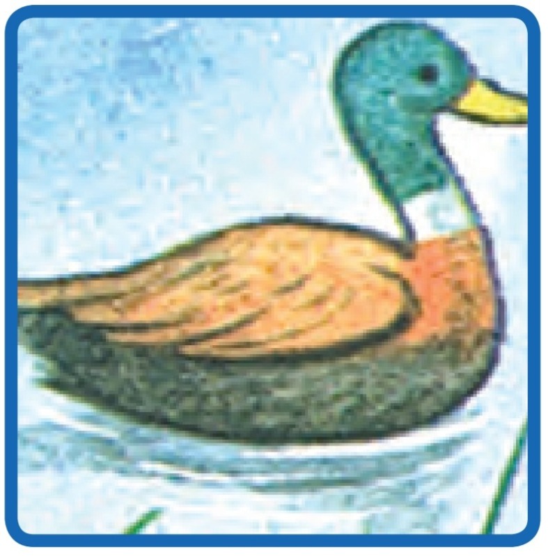 دریافت سوال 1