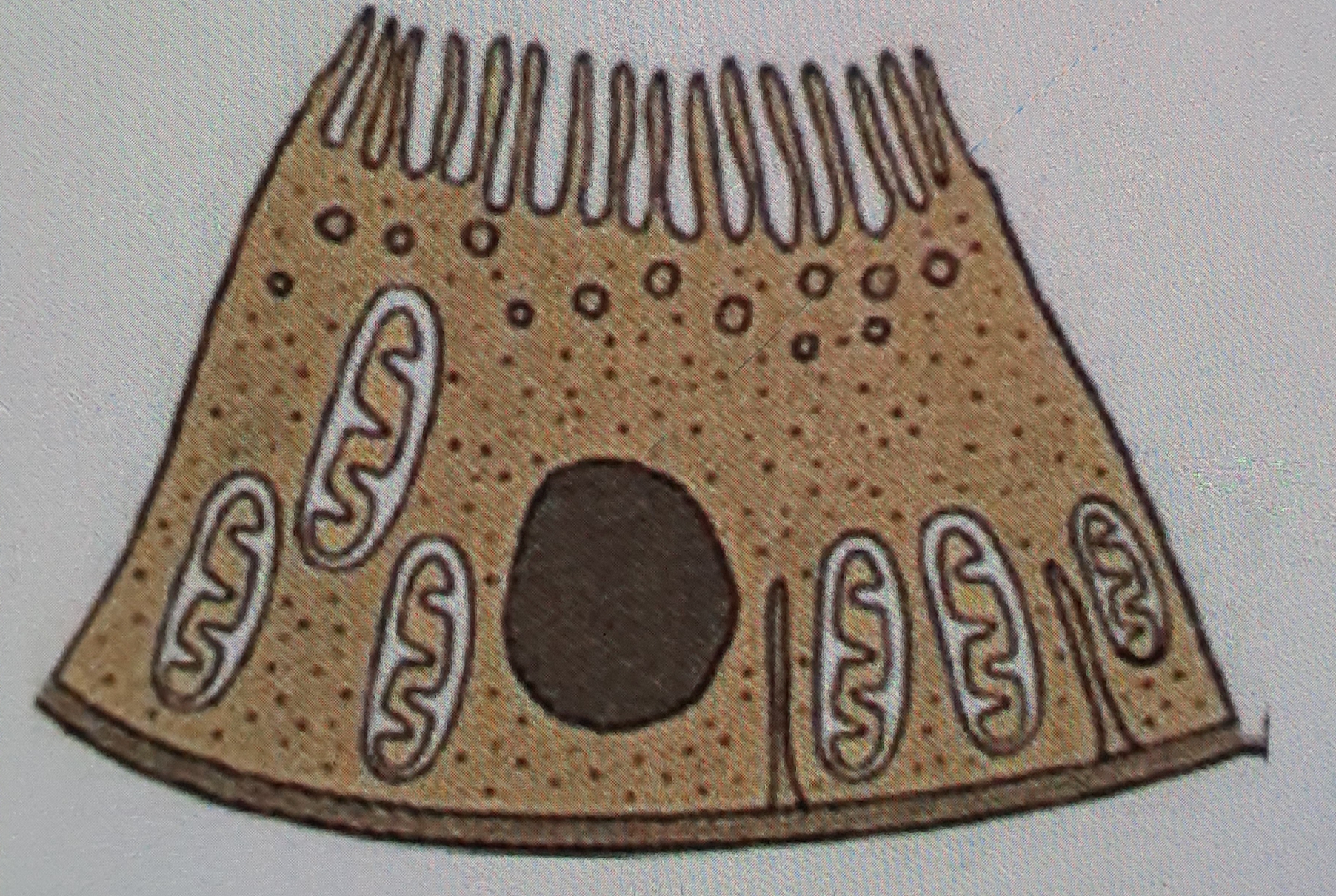 دریافت سوال 3