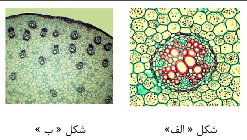 دریافت سوال 28