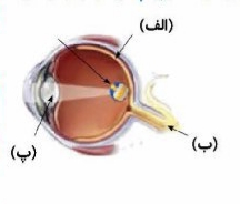 دریافت سوال 32