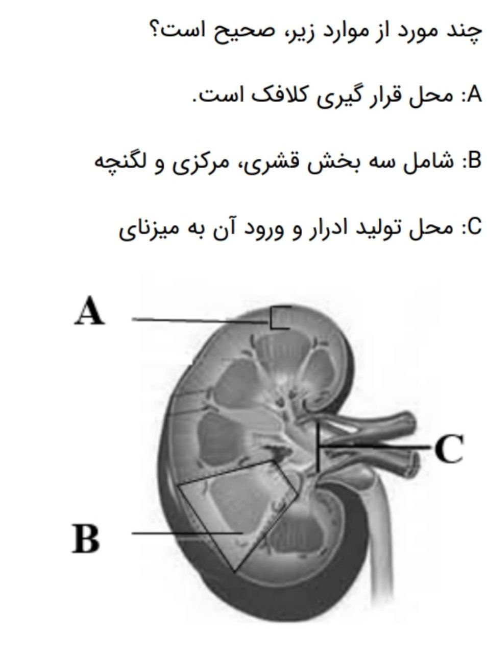 دریافت سوال 6