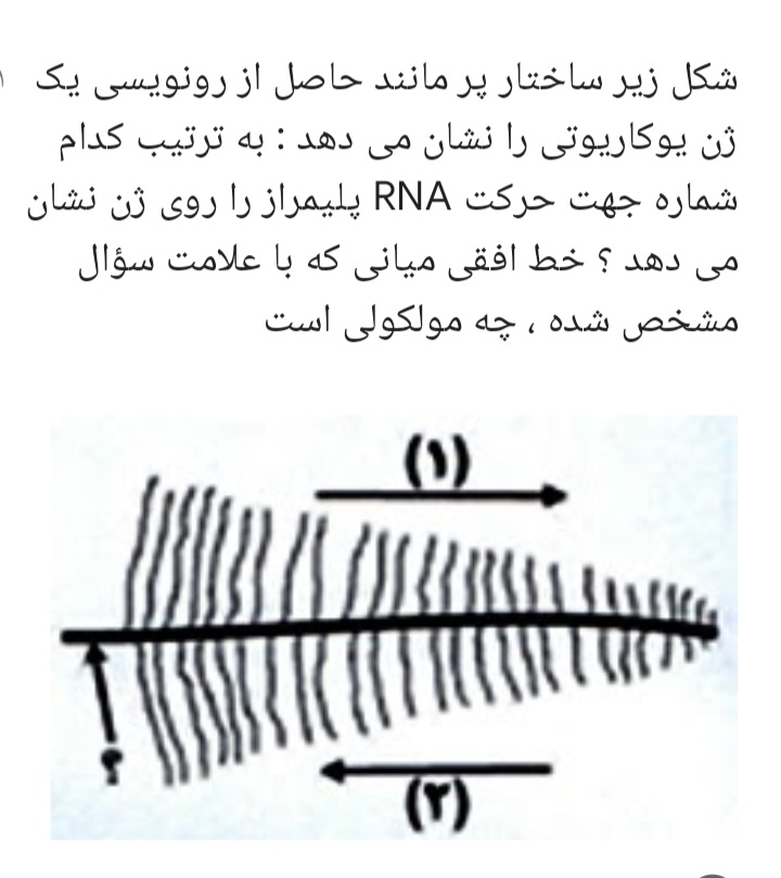 دریافت سوال 17