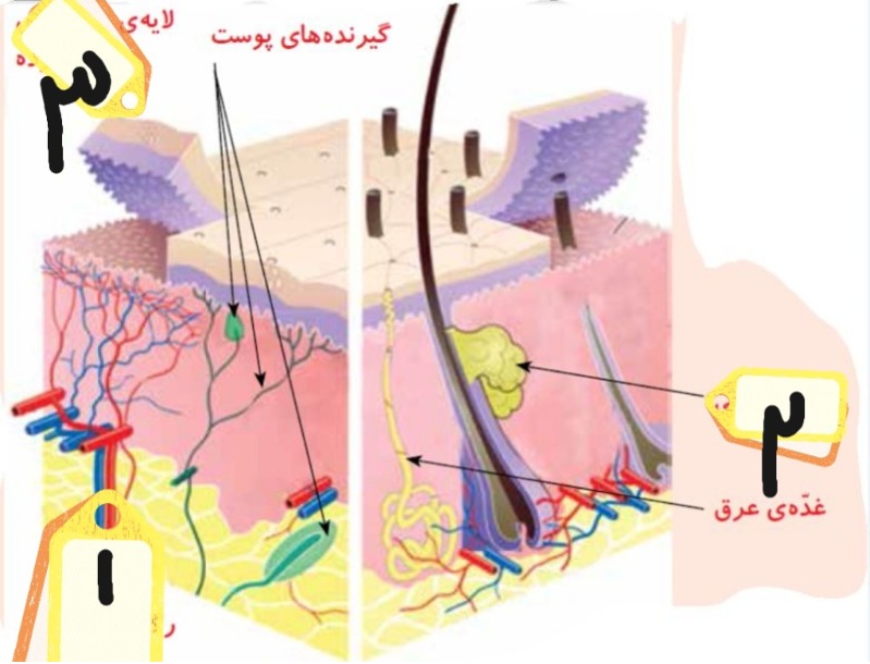 دریافت سوال 23