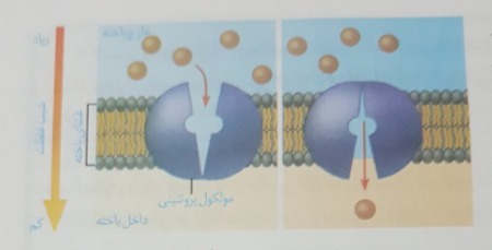 دریافت سوال 8