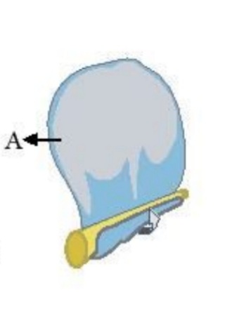 دریافت سوال 2