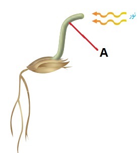 دریافت سوال 18