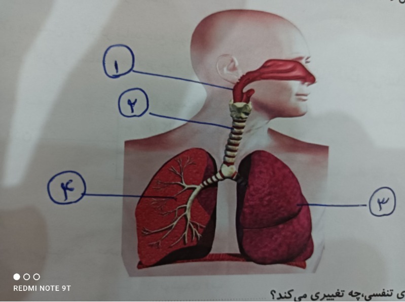 دریافت سوال 3