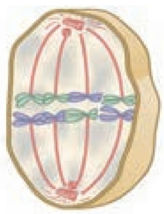 دریافت سوال 14