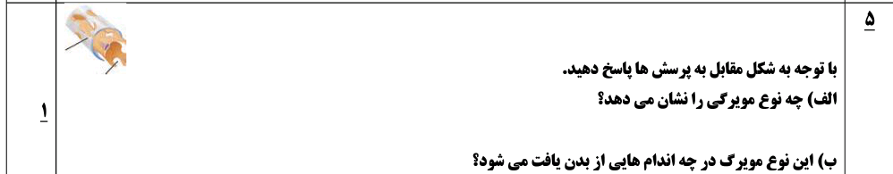 دریافت سوال 8