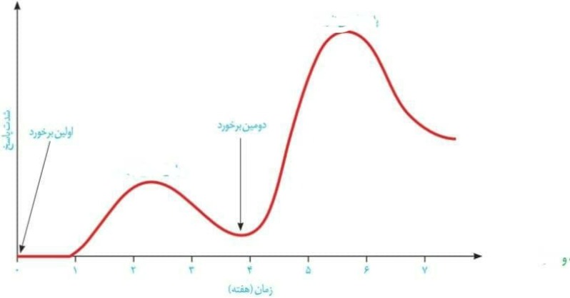 دریافت سوال 13