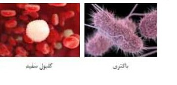 دریافت سوال 15