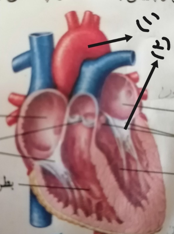 دریافت سوال 22