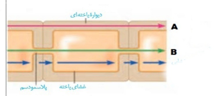 دریافت سوال 30