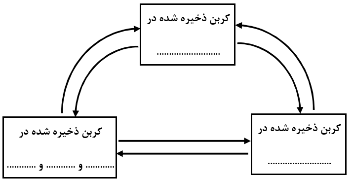 دریافت سوال 14