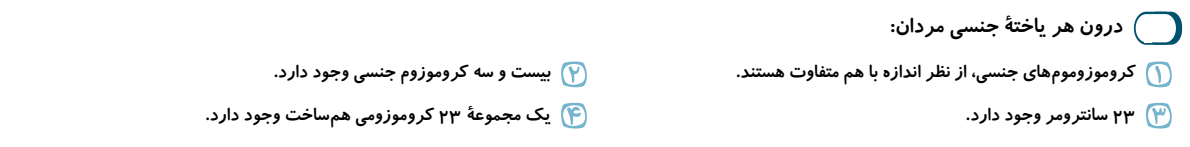 دریافت سوال 12