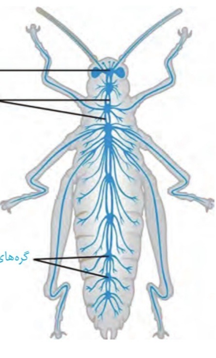 دریافت سوال 21