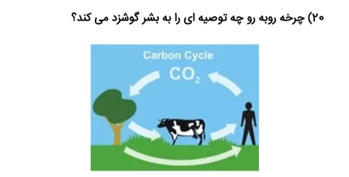 دریافت سوال 9