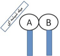 دریافت سوال 16